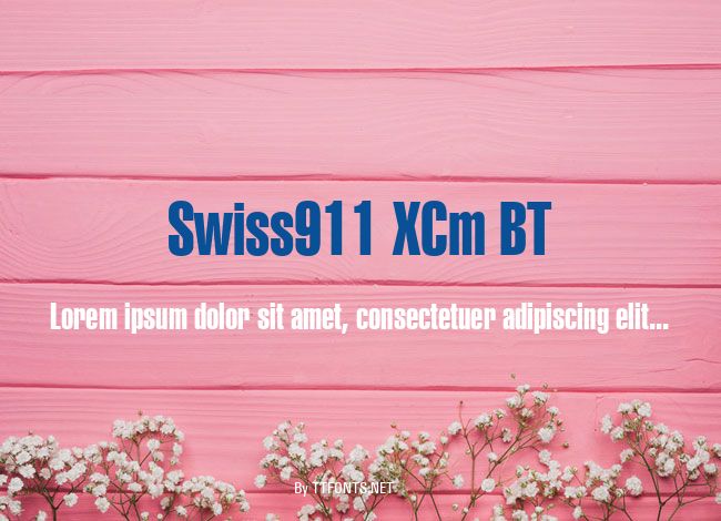 Swiss911 XCm BT example